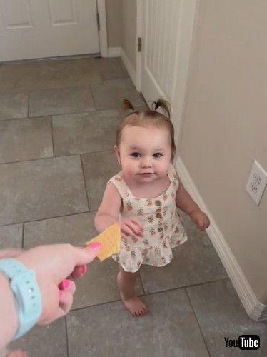 「Twin Grabs Cookie Offered to Her Sister - 1432352」