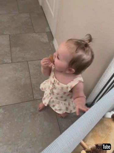 「Twin Grabs Cookie Offered to Her Sister - 1432352」