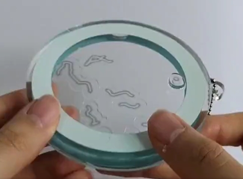 飛蚊症　キーホルダー　八羽