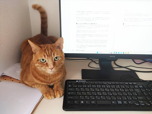 お腹すきました