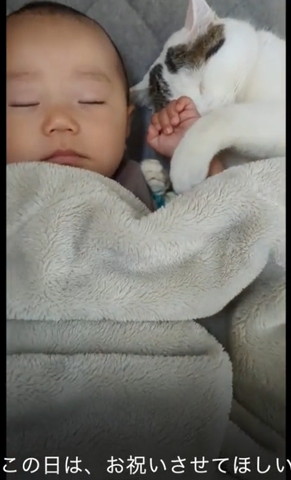 この日はお祝いさせてほしいテロップ