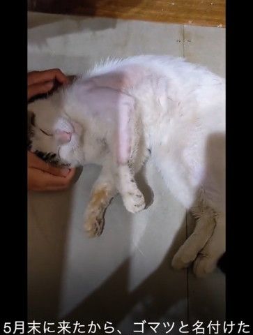 5月末に来たからテロップ