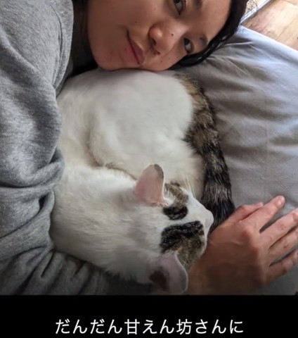 だんだん甘えん坊テロップ