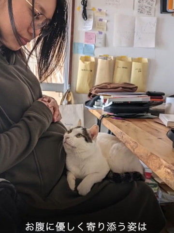 お腹に優しく寄り添うテロップ