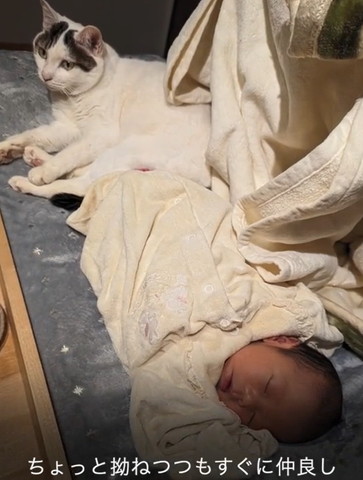 ちょっと拗ねつつもすぐに仲良しにテロップ