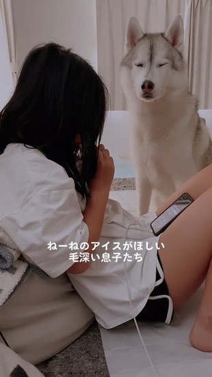 目を細める犬