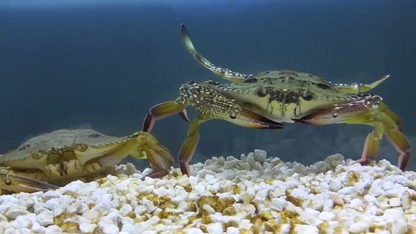 ビフォーアフター