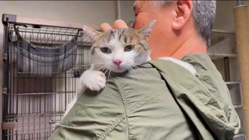 考えられなかった光景