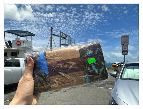 どう見ても普通のタオル