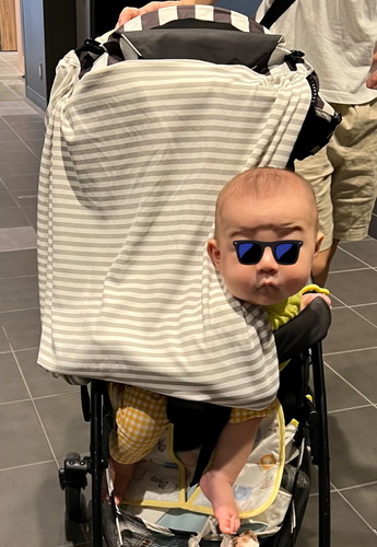 日よけから身を乗り出す赤ちゃん