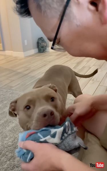 パパの言うことしか聞かないワンコ