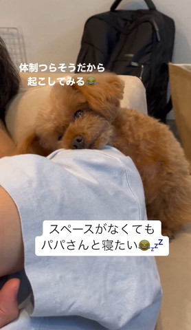 体勢辛そうだから起こしてみるテロップ