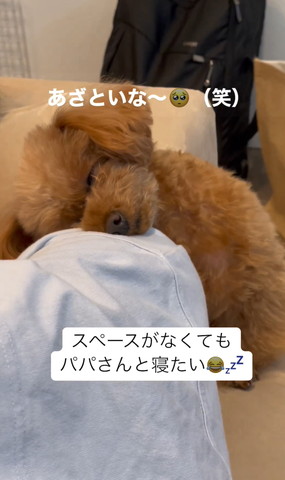 あざといなテロップ