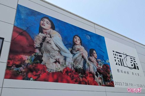 櫻坂46展覧会「新せ界」