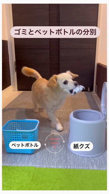 燃えるゴミくわえて