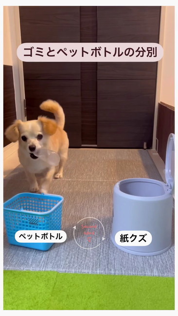 ボトルくわえて