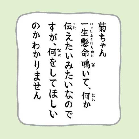 困るおばあさんの心境