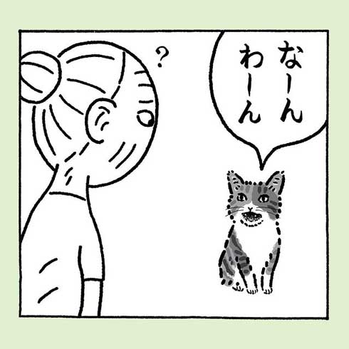 おばあさんを呼ぶ猫