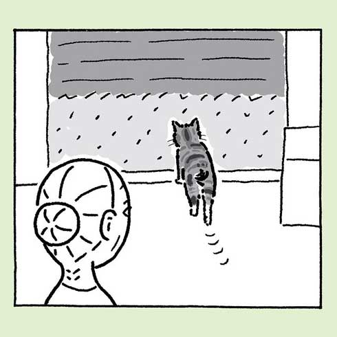 どこかに行く猫