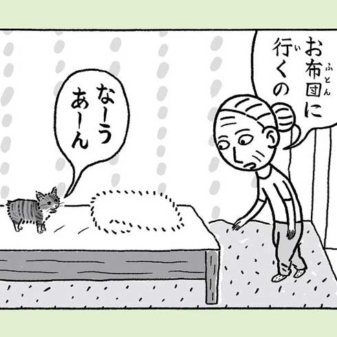 お布団に誘う猫