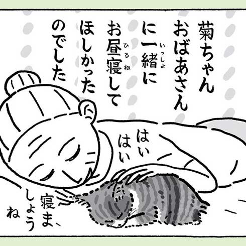 おばあさんとお昼寝する猫