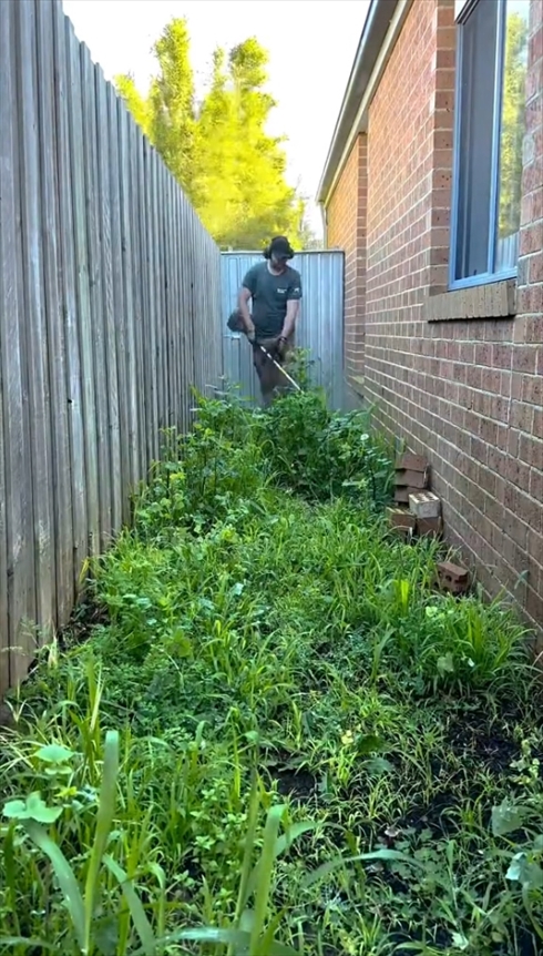 雑草　ビフォアアフター