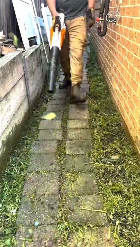 雑草　ビフォアアフター