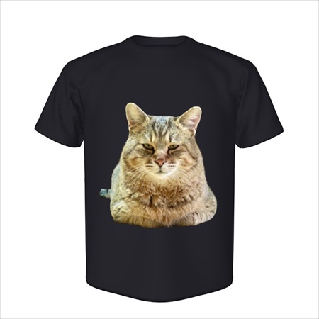 猫ッチョファミリー【猫ッチョファミリー】トラ殿Tシャツ【ブラック】（3350〜3550円）