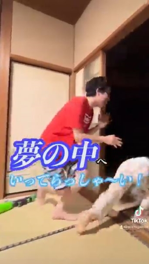 夢の中へいってらっしゃい！