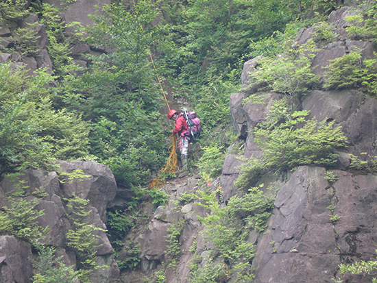 調査中の先生アップ