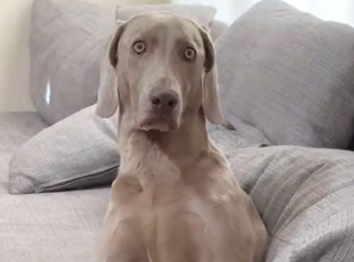 カメラ目線アップ