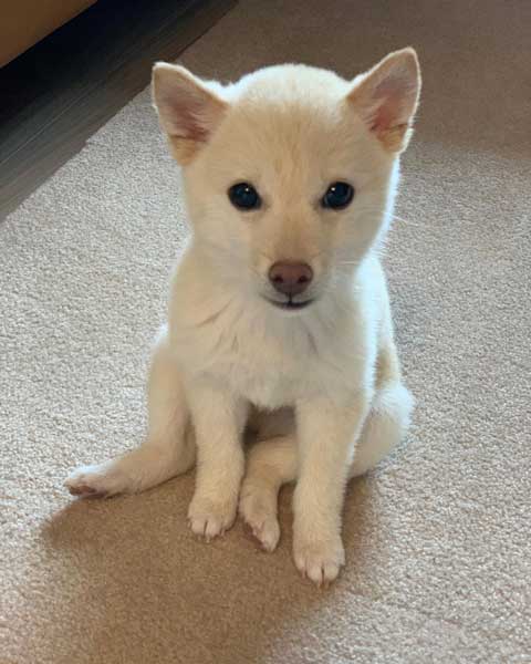 ぬいぐみみみたいな座り方