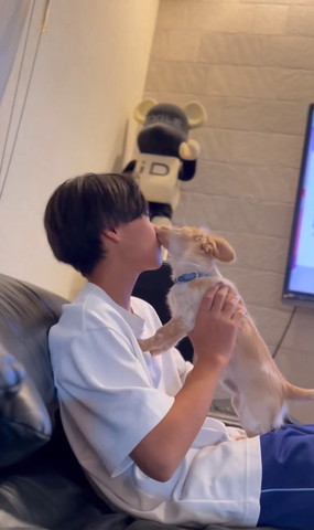 白いTシャツでソファに座るお兄ちゃんにチューするワンコ