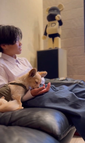 お兄ちゃんの手をなめるワンコ