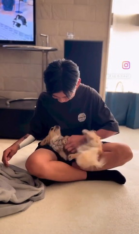 お兄ちゃんのヒザに転がるワンコ