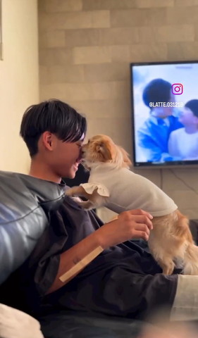 黒いTシャツ着てるお兄ちゃんの顔なめるワンコ