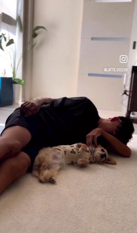 お兄ちゃんと横になるワンコ
