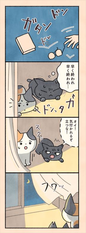 もしもなんて来ないと思ってた猫