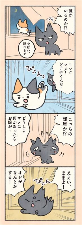 もしもなんて来ないと思ってた猫