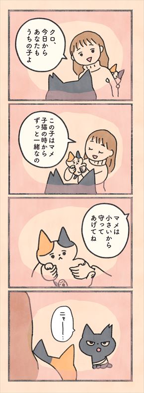もしもなんて来ないと思ってた猫