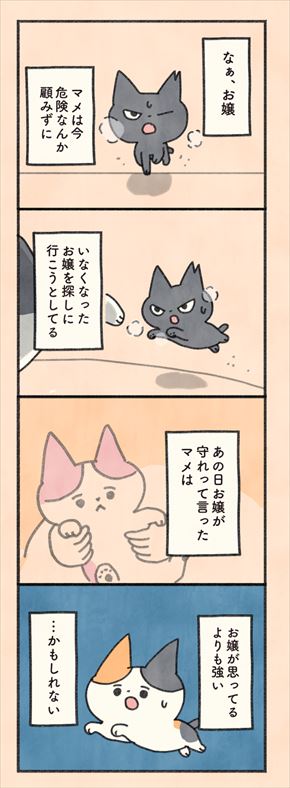 もしもなんて来ないと思ってた猫