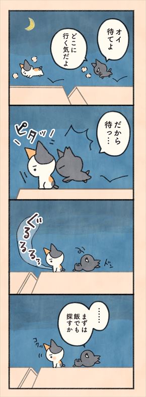 もしもなんて来ないと思ってた猫