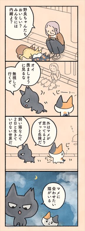 もしもなんて来ないと思ってた猫