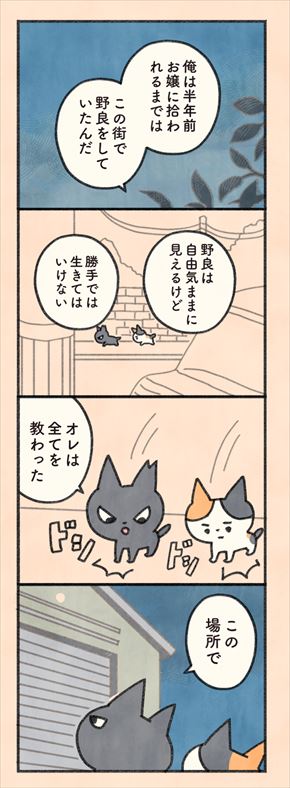 もしもなんて来ないと思ってた猫