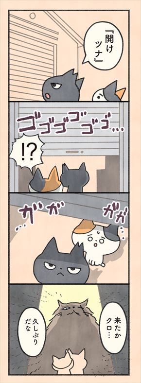 もしもなんて来ないと思ってた猫
