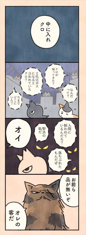 もしもなんて来ないと思ってた猫