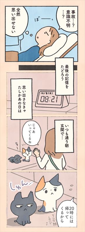 もしもなんて来ないと思ってた猫