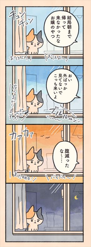 もしもなんて来ないと思ってた猫