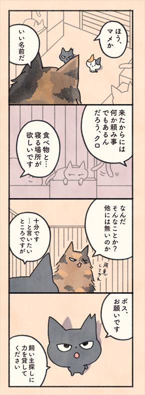 もしもなんて来ないと思ってた猫