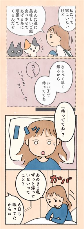 もしもなんて来ないと思ってた猫